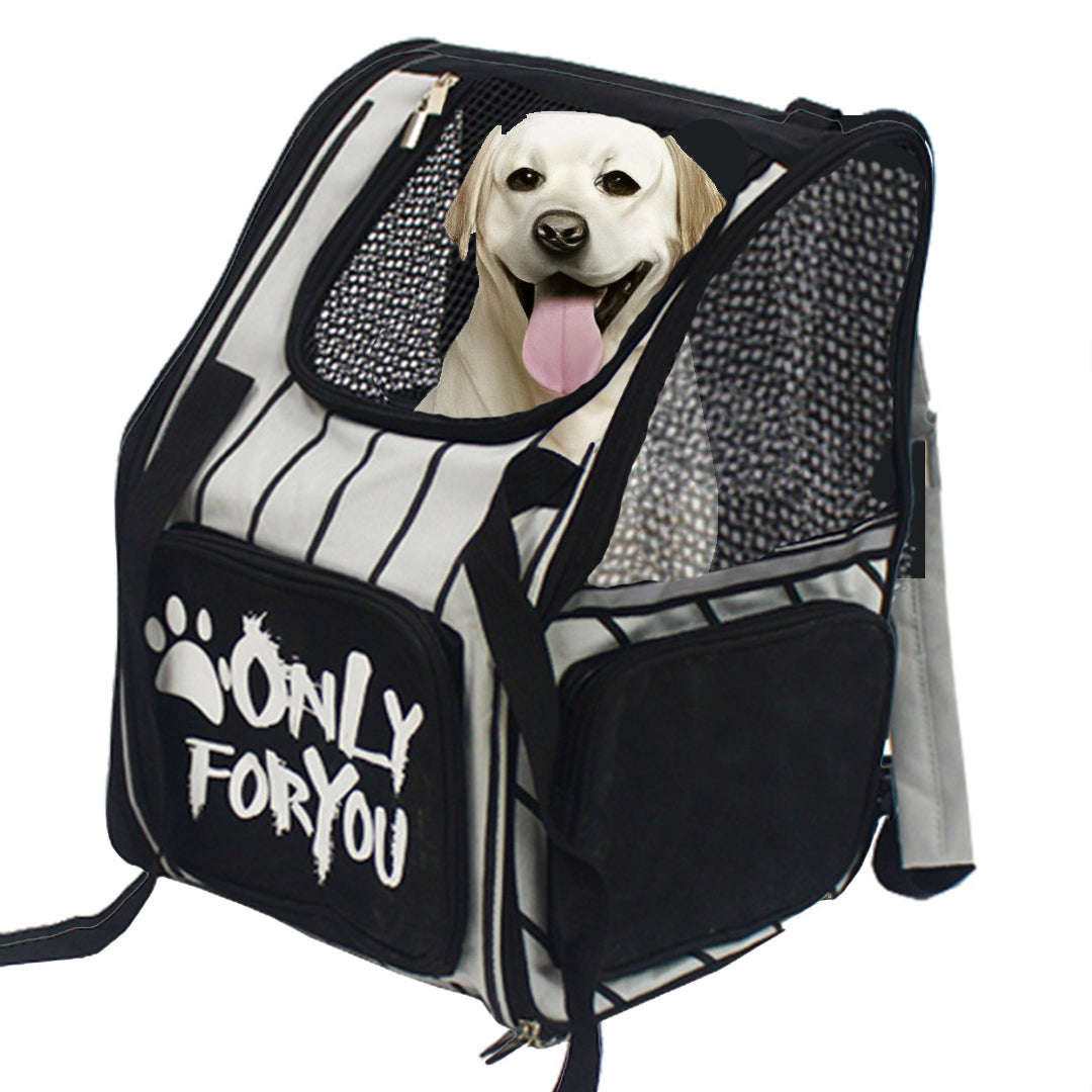 Essentials pet carrier hotsell