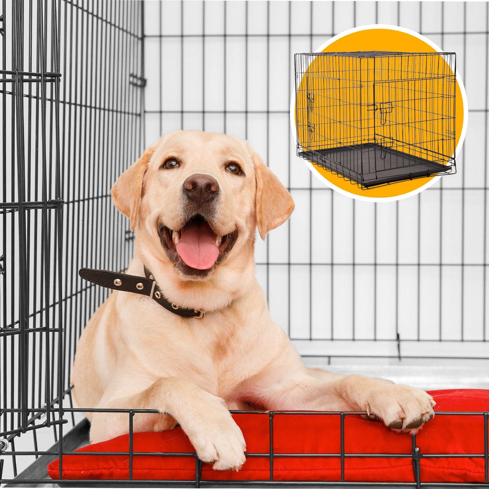 4Paws Dog Cage Pet Crate Cat Puppy Metal Cage ABS Tray Foldable Portable-Crates, Houses &amp; Pens-PEROZ Accessories