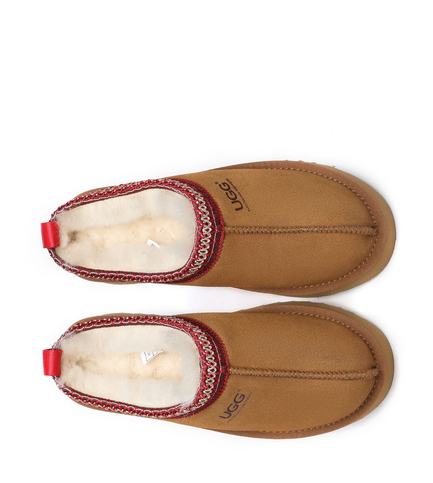 Australian Shepherd Ventus Platform Unisex Slippers - AS2053-Slippers-PEROZ Accessories