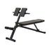 Everfit Roman Chair Adjustable Weight Bench Strength Training Preacher Curls-Sports & Fitness > Exercise, Gym & Fitness > Exercise Benches-PEROZ Accessories