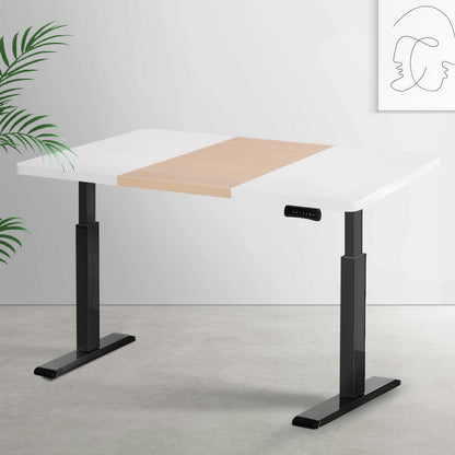 Artiss Standing Desk Motorised Electric Dual Motor 120CM-Furniture &gt; Office-PEROZ Accessories