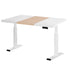 Artiss Standing Desk Motorised Dual Motor 120CM-Furniture > Office-PEROZ Accessories