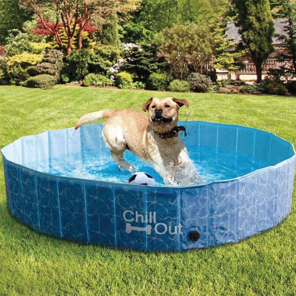 S Dog Swimming Pool - Chill Out Plastic Pet Puppy Bath Splash Fun All For Paws-Pet Care &gt; Dog Supplies &gt; Dog Collars, Leads &amp; Harnesses-PEROZ Accessories