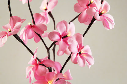 1 Set of 50cm H 20 LED Pink Frangipani Tree Branch Stem Fairy Light Wedding Event Party Function Table Vase Centrepiece Decoration Girl Bedroom-Home &amp; Garden &gt; Decor &gt; Vases &amp; Table Decor-PEROZ Accessories