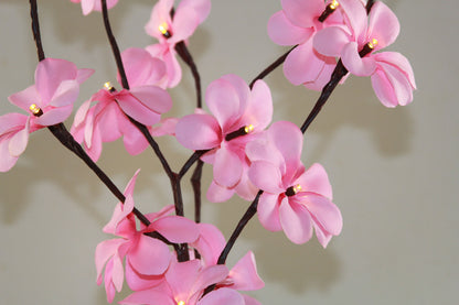 1 Set of 50cm H 20 LED Pink Frangipani Tree Branch Stem Fairy Light Wedding Event Party Function Table Vase Centrepiece Decoration Girl Bedroom-Home &amp; Garden &gt; Decor &gt; Vases &amp; Table Decor-PEROZ Accessories