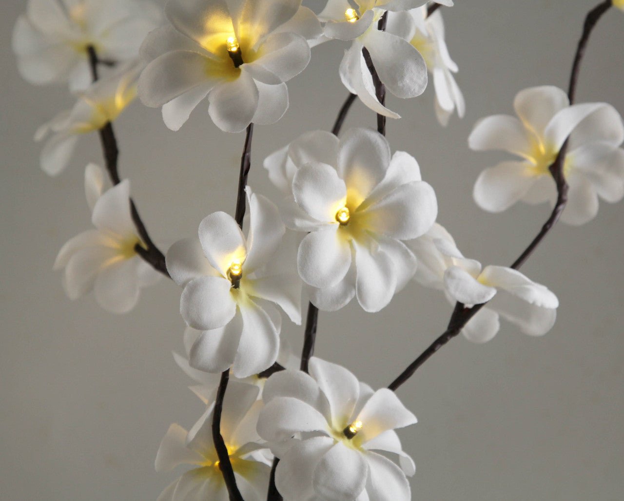 1 Set of 50cm H 20 LED White Frangipani Tree Branch Stem Fairy Light Wedding Event Party Function Table Vase Centrepiece Decoration-Home &amp; Garden &gt; Decor &gt; Vases &amp; Table Decor-PEROZ Accessories