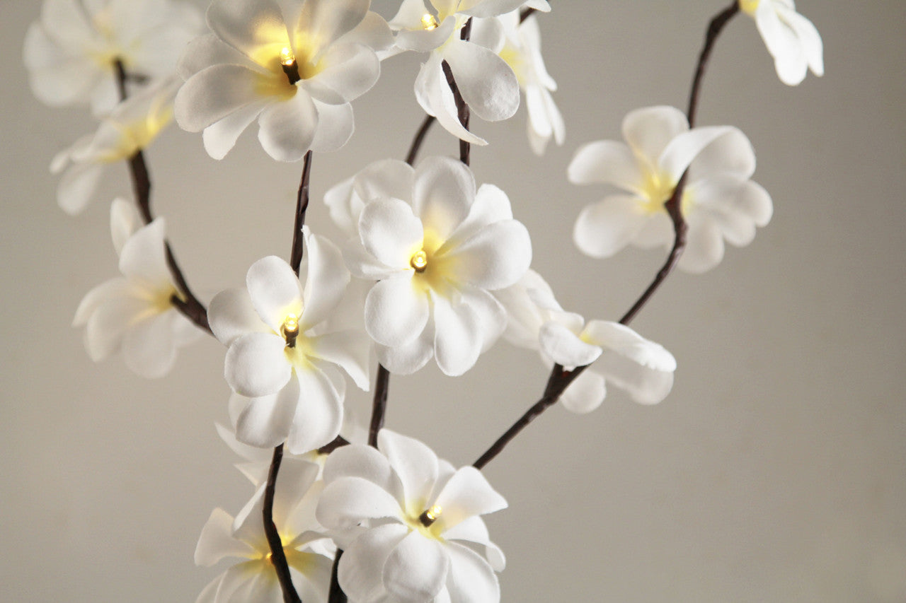 1 Set of 50cm H 20 LED White Frangipani Tree Branch Stem Fairy Light Wedding Event Party Function Table Vase Centrepiece Decoration-Home &amp; Garden &gt; Decor &gt; Vases &amp; Table Decor-PEROZ Accessories