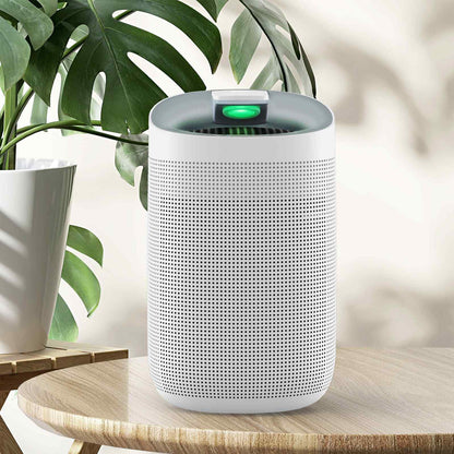 MyGenie 2-in-1 Air Purifier and Dehumidifier WI-FI Control HEPA Filter-Heating &amp; Cooling-PEROZ Accessories