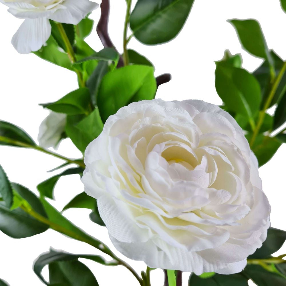 Flowering Natural White Artificial Camellia Tree 180cm-Home &amp; Garden &gt; Artificial Plants-PEROZ Accessories