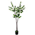 Flowering Natural White Artificial Camellia Tree 180cm-Home & Garden > Artificial Plants-PEROZ Accessories