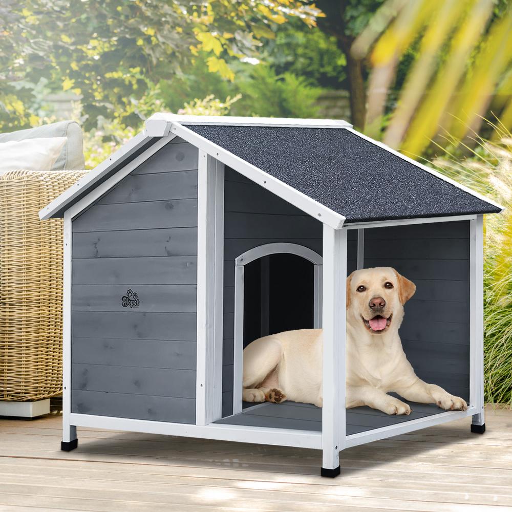 Dog kennels perth for hot sale sale