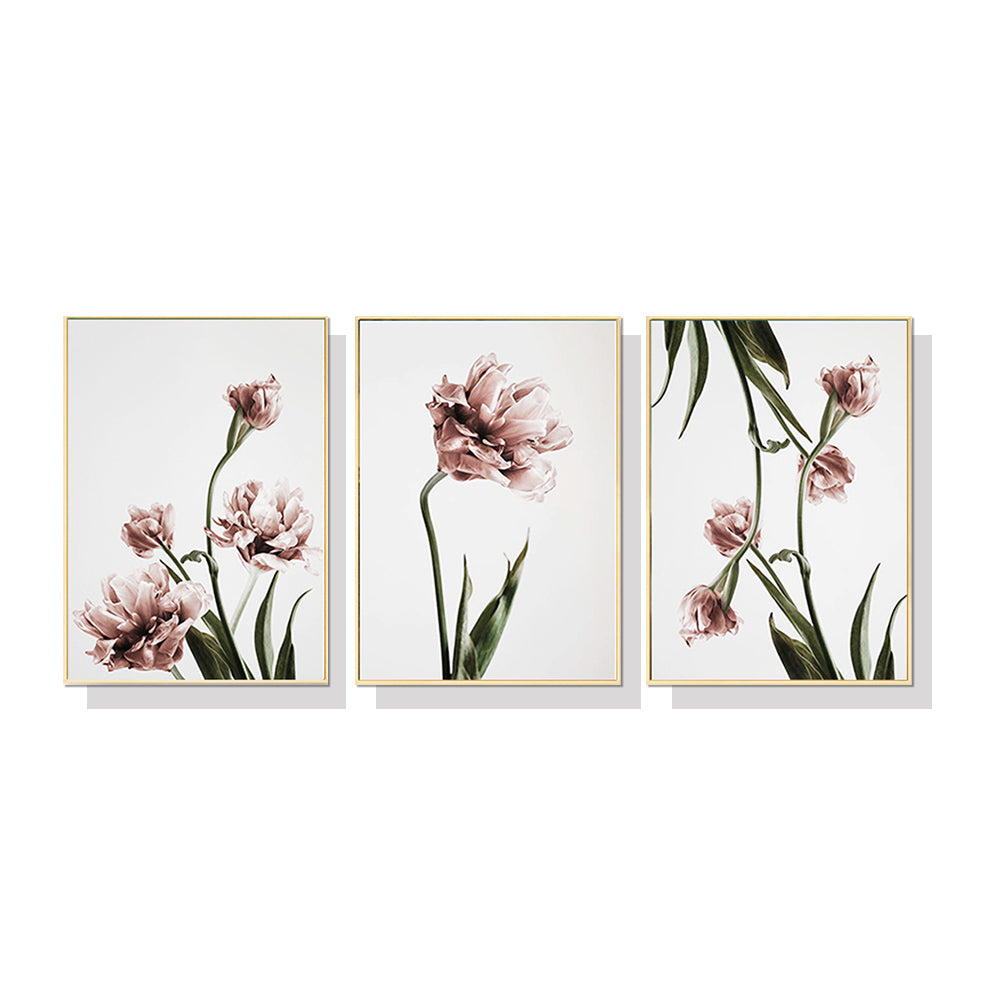 40cmx60cm Tulip Flower 3 Sets Gold Frame Canvas Wall Art-Home &amp; Garden &gt; Wall Art-PEROZ Accessories