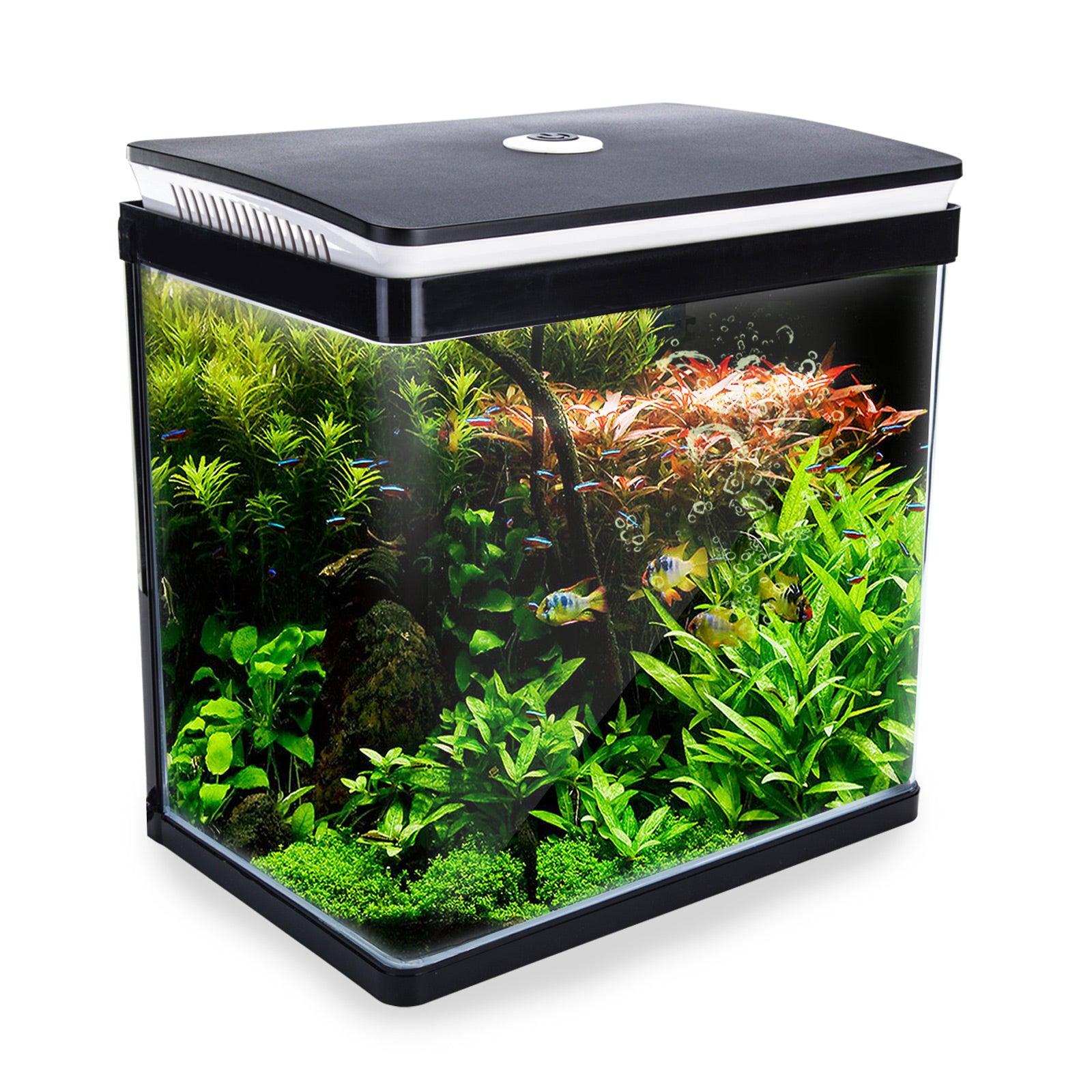 Shop Dynamic Power Aquarium Fish Tank 30L Curved Glass RGB LED PEROZ