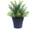 Small Potted Artificial Native Grass Plant UV Resistant 20cm-Home & Garden > Home & Garden Others-PEROZ Accessories
