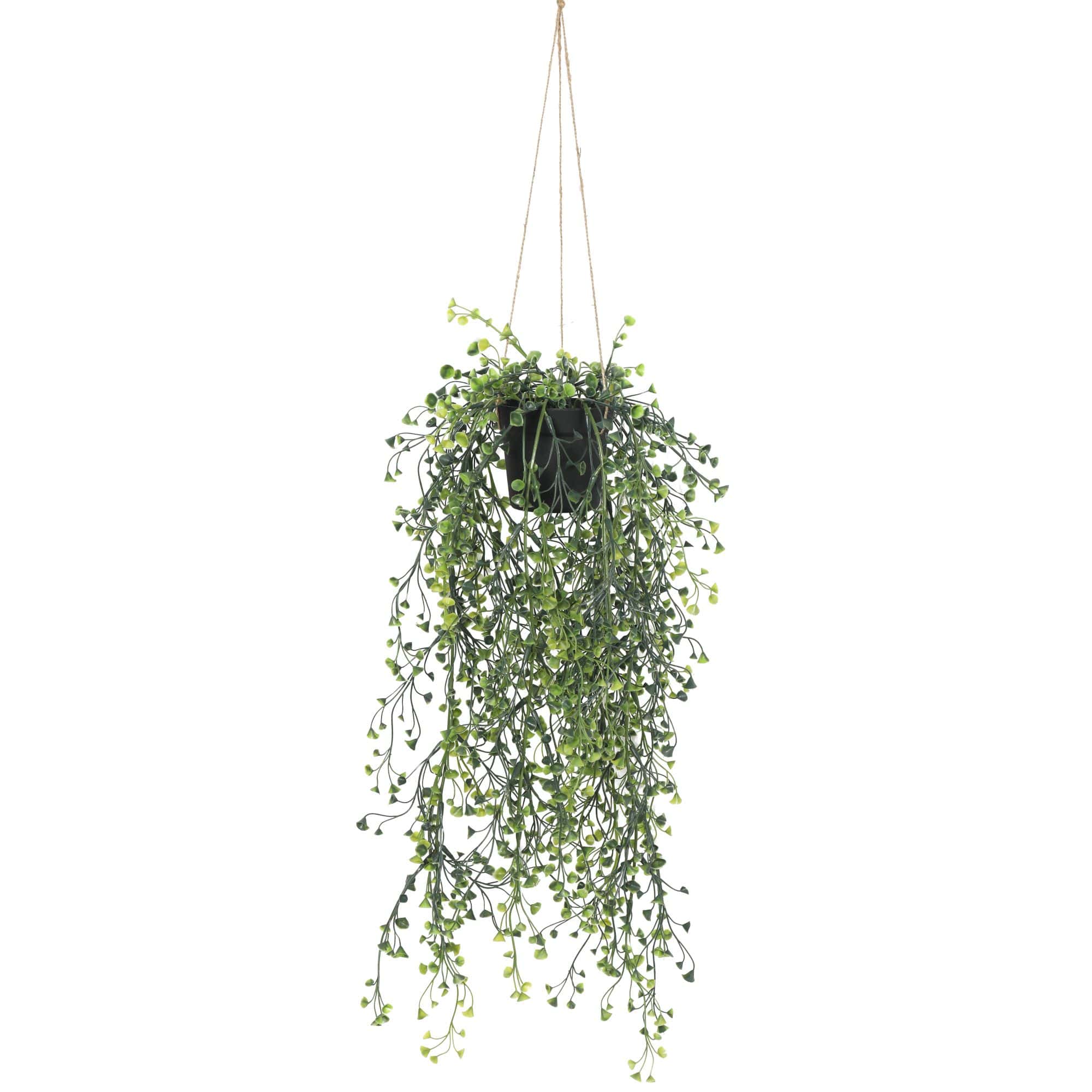 Shop Artificial Hanging Pearls (Potted) 56cm | PEROZ