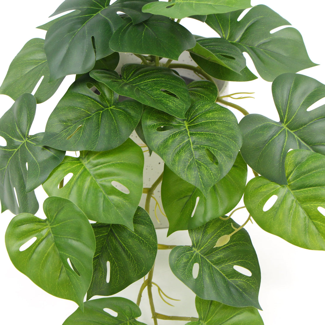 Decorative Ceramic Bowl Potted Artificial Monstera Plant 30cm-Home &amp; Garden &gt; Artificial Plants-PEROZ Accessories