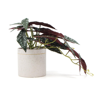 Artificial Bergonia Plant In Decorative Bowl 30cm-Home &amp; Garden &gt; Artificial Plants-PEROZ Accessories