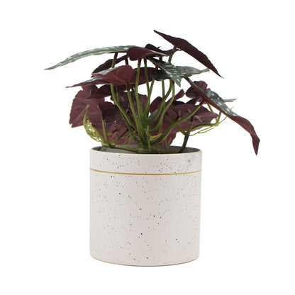 Artificial Bergonia Plant In Decorative Bowl 30cm-Home &amp; Garden &gt; Artificial Plants-PEROZ Accessories