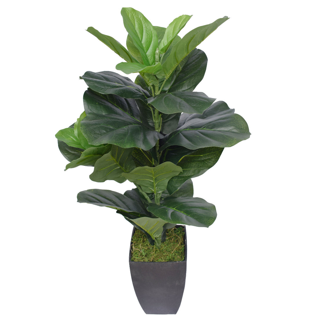 Dense Fiddle Leaf Fig Tree 70cm-Home &amp; Garden &gt; Artificial Plants-PEROZ Accessories