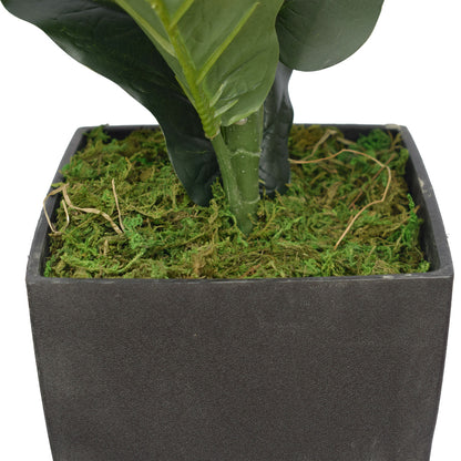 Dense Fiddle Leaf Fig Tree 70cm-Home &amp; Garden &gt; Artificial Plants-PEROZ Accessories