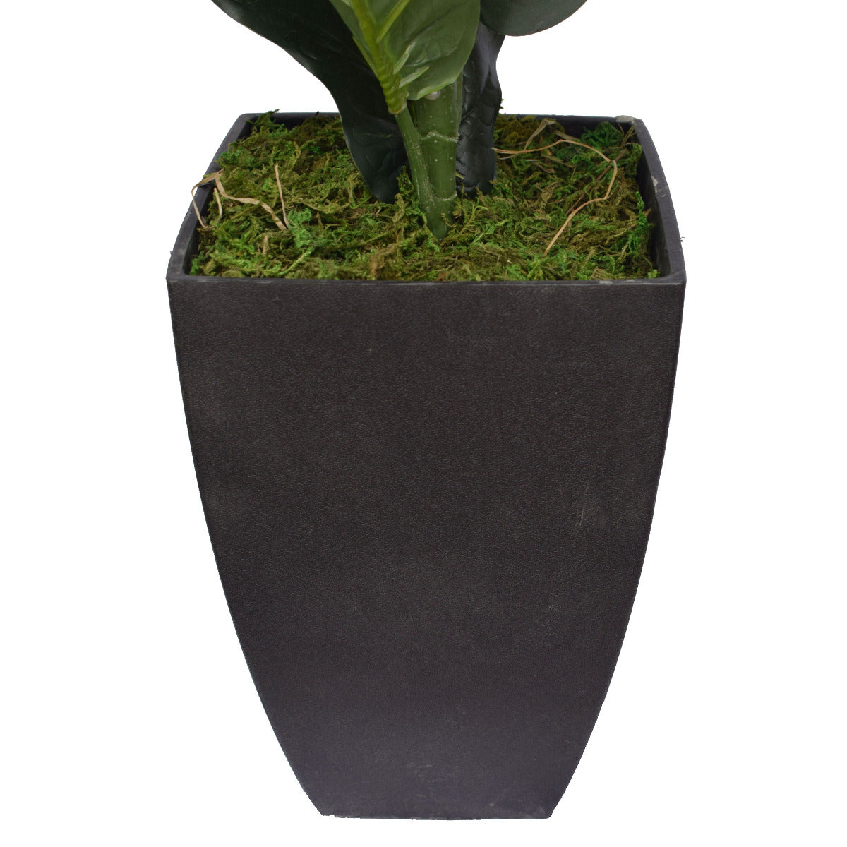 Dense Fiddle Leaf Fig Tree 70cm-Home &amp; Garden &gt; Artificial Plants-PEROZ Accessories