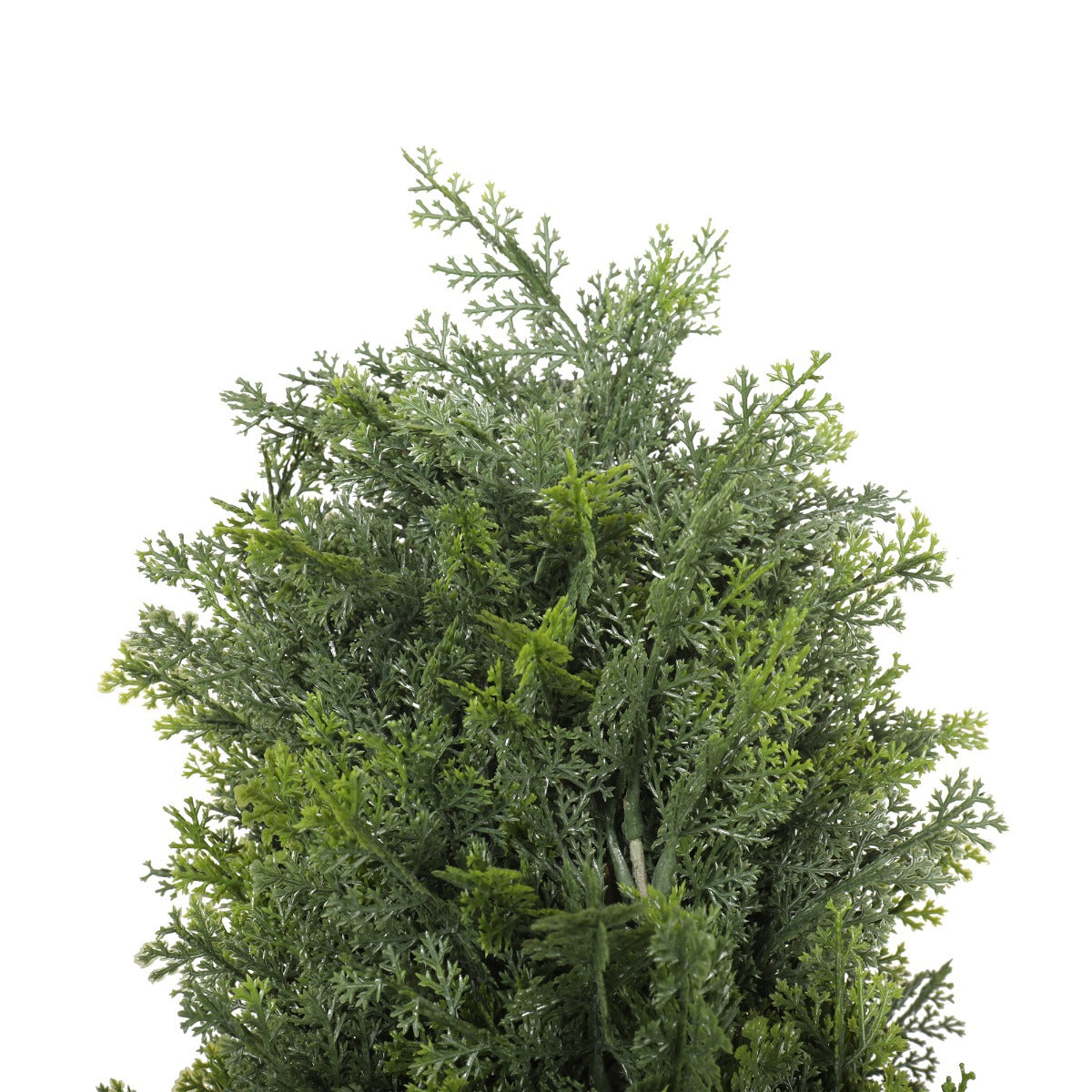 UV Resistant Cypress Pine Tree 1.8m-Home &amp; Garden &gt; Artificial Plants-PEROZ Accessories