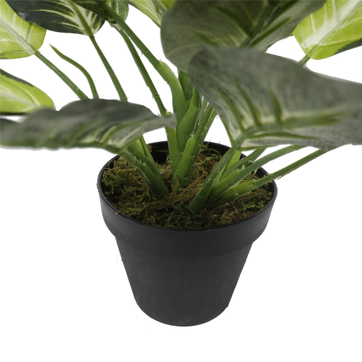 Leopard Lily (Dieffenbachia) with Pot 40cm-Home &amp; Garden &gt; Artificial Plants-PEROZ Accessories