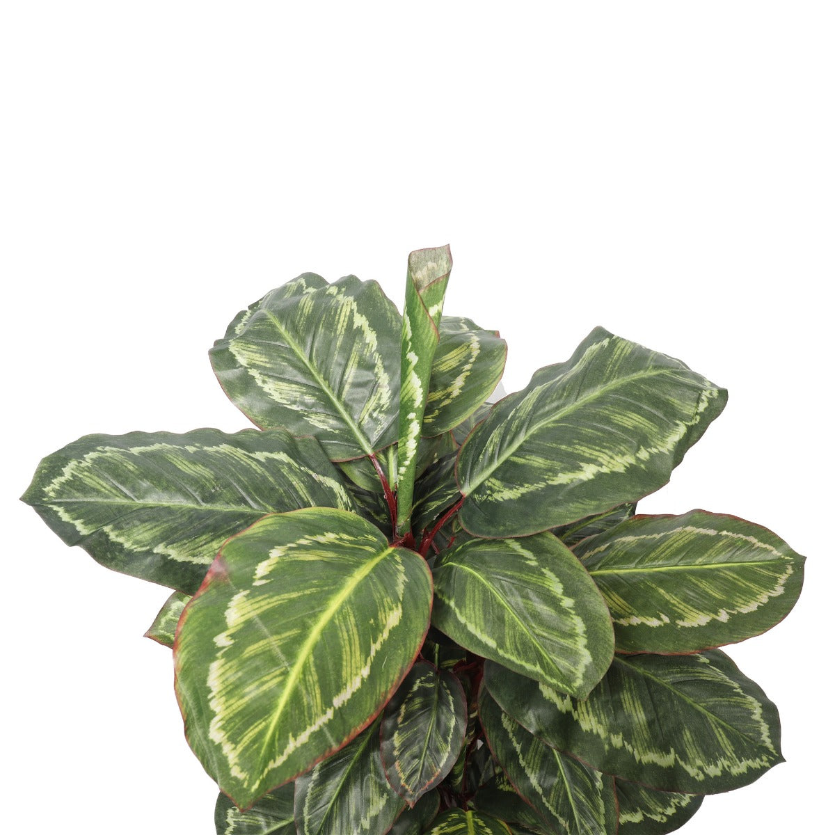 Artificial Wide Leaf Cordyline Plant 90cm-Home &amp; Garden &gt; Artificial Plants-PEROZ Accessories