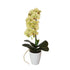 40cm Butterfly Orchid- Cream-Home & Garden > Artificial Plants-PEROZ Accessories