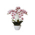 66cm Multi Butterfly Orchid - Pink-Home & Garden > Artificial Plants-PEROZ Accessories