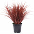Artificial Ornamental Potted Dense Burgundy Grass 38 cm-Home & Garden > Artificial Plants-PEROZ Accessories